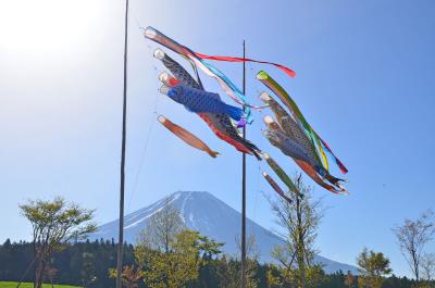 富士山と鯉のぼり&芝桜 2015.05.01 1.鯉のぼり