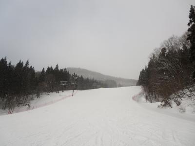 ノルン水上早朝スキー（2015年2月28日）