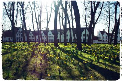 Brugge～運河の街を歩く～