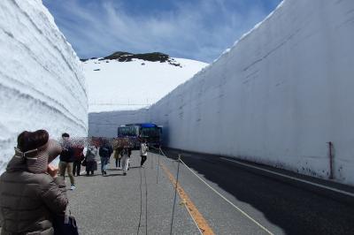 ここは　どこの国？　立山黒部アルペンルート　　天気最高！