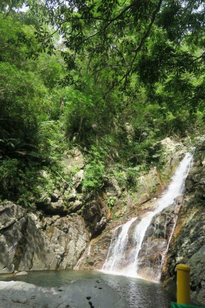 海はもちろんだけど、山も素敵！やんばるを歩く！！