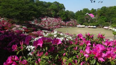 福井へバスツアー