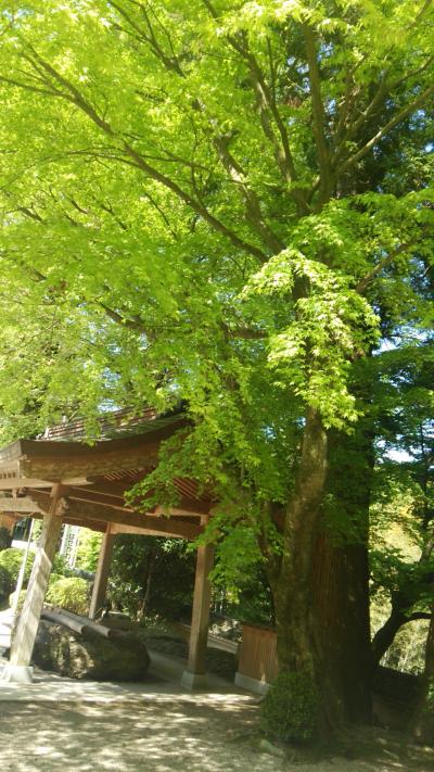 ☆雷山観音と糸島ランチ☆