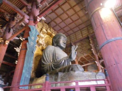 大人の遠足初参戦 ! !奈良へ　1：（序章?）興福寺・東大寺を散策