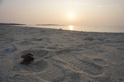 前略、K.K様　ずっとあなたが好きでした・・・・・・・Part3。BAN BAN BAN♪あの歌ありきの女一人旅in久米島～観光編③、のんびりしようと決めた最終日から帰路まで～