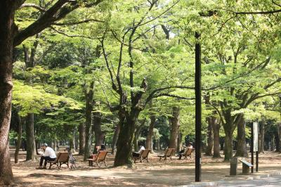 新緑の代々木公園　さんぽ！