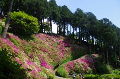 佐賀県基山町　大興善寺につつじを見に行く(2015年5月)