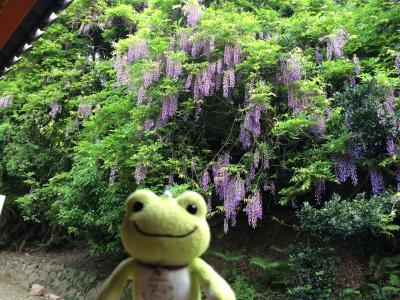 のーぷらん奈良旅3日目