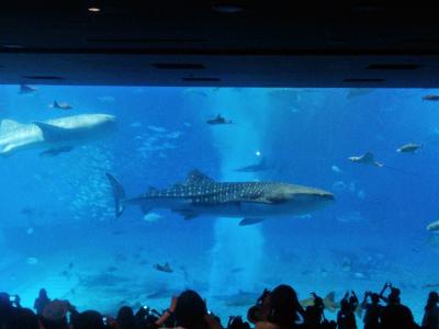 ３世代で行く沖縄まったり旅☆　２日目