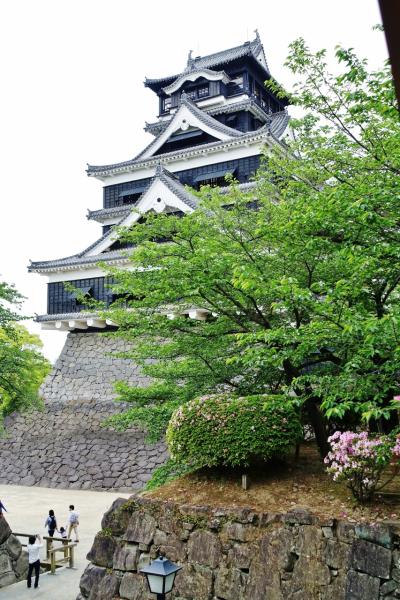 火の国 『熊本城』は、天下の名城でした！』熊本市(熊本県)の旅行記・ブログ by ペンギンパパさん【フォートラベル】