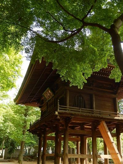 新緑の多福寺を訪問する