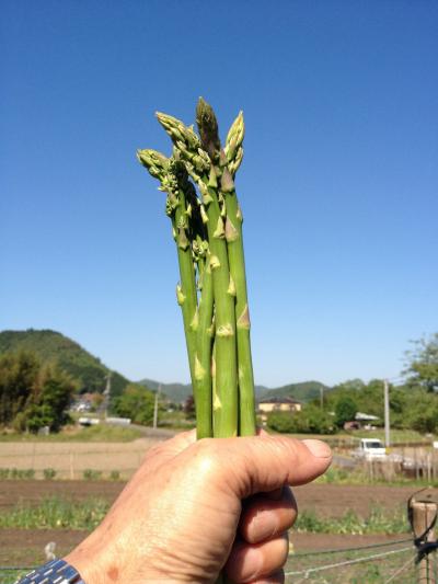 チェンマイから帰って50日、京丹波町秘密基地でアレやコレや。