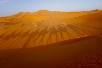 No.032 モロッコ旅行−マラケシュ・サハラ砂漠・フェズ・カサブランカ−
