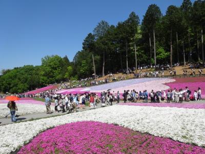 羊山公園～和どう～長瀞 