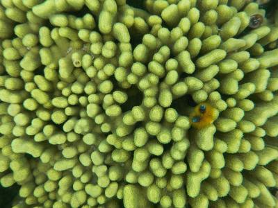 2015ＧＷ　マイルでグアム