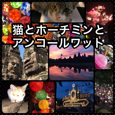 猫とホーチミンとシェムリアップ