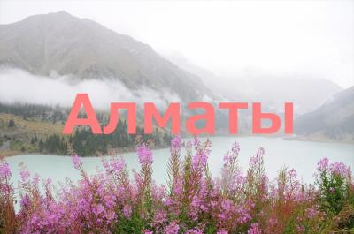 夏旅26ビザ免除で初中央アジア★アルマトイ★ビッグアルマトイ湖へのエコツアー
