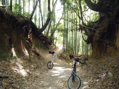 多摩の裏山をサイクリング