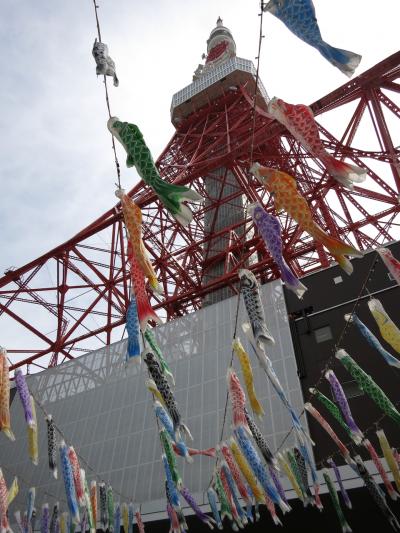 May 2015 東京タワー＆旧芝離宮恩賜庭園をお散歩