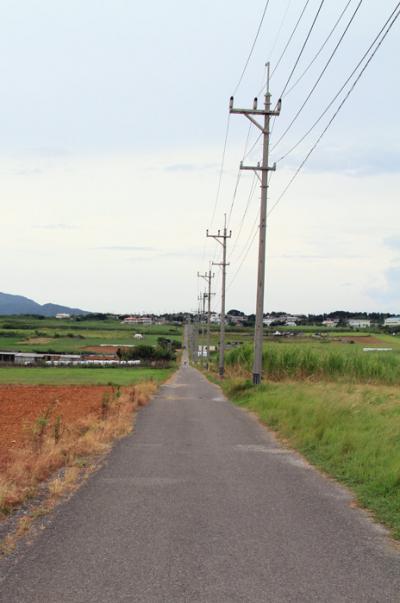 夏の家族旅行2014その6（最終回）ーシュガーロードを念願のサイクリングでかけ抜ける！島カフェ「ヤシの木」さんでの昼食と名物黒糖サンデーをいただきました−編