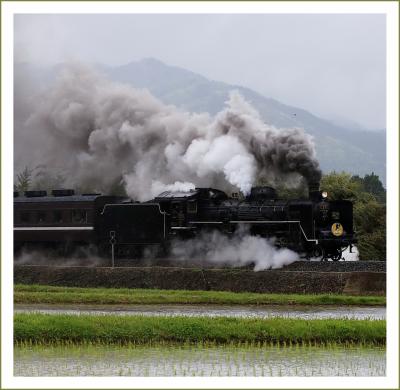 Solitary Journey［1571］恒例（高齢＾＾）のＧＷ車旅＜古い町並み＆牡丹園＆ＳＬやまぐち号＞鳥取・島根・福岡・大分・山口県