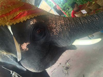 今年3カ国目の旅!バンコクで汗だく~後半~