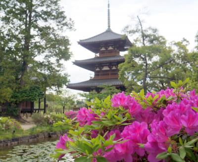 京都奈良の史跡と古刹巡り　その３