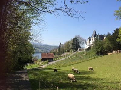 スイス・ルツェルン近郊にある可愛らしいお城『メッケンホルン城』【スイス情報.com】 