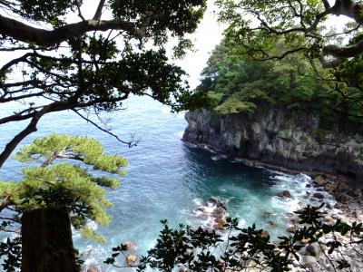 伊東を目指して 時々、道の駅スタンプの旅