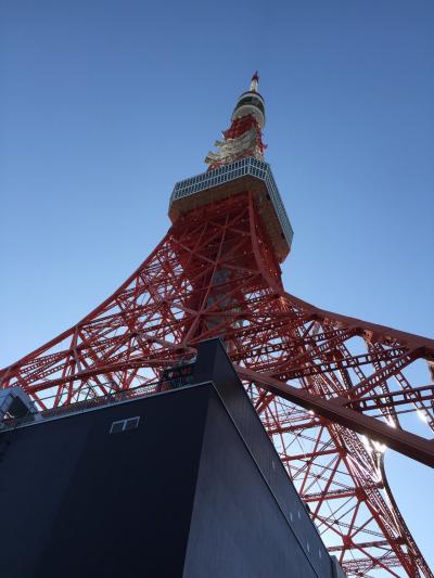 アラカルト的な東京デート～パート４高所恐怖症が東京タワーに行ってみた！