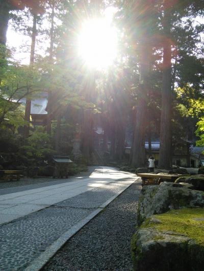 福井の旅（永平寺・一乗谷朝倉遺跡・丸岡城・東尋坊編）