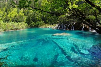 【 2015年 大自然の九寨溝・黄龍・峨眉山・楽山 】 ~ダイジェスト~