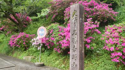 吉野山 新緑の桜の名所・山岳宗教都市を歩く 【南紀遠征3日目PM】