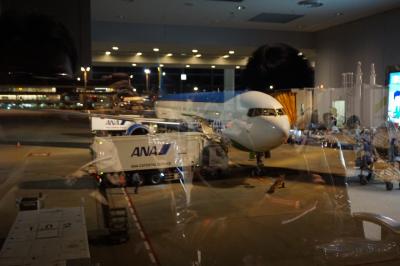 ウズベキスタンの世界遺産を巡る8日間の旅(1日目)