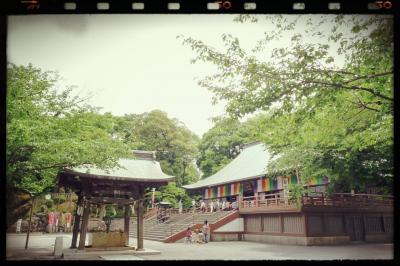 徳川ゆかりのお寺 喜多院