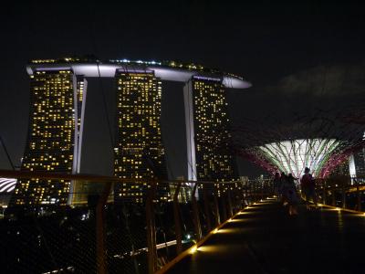 【2日目】ＡＮＡでフラッと“シンガポール”一人旅（巨大植物園ガーデンズ・バイ・ザ・ベイの朝と夜）