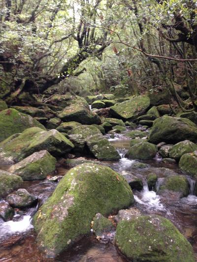 雨の白谷雲水狭