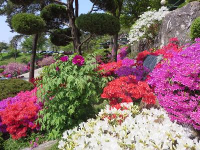 ボロブドゥールの朝焼けが見たい!ソウルトランジットとバリ島 クタ辺り
