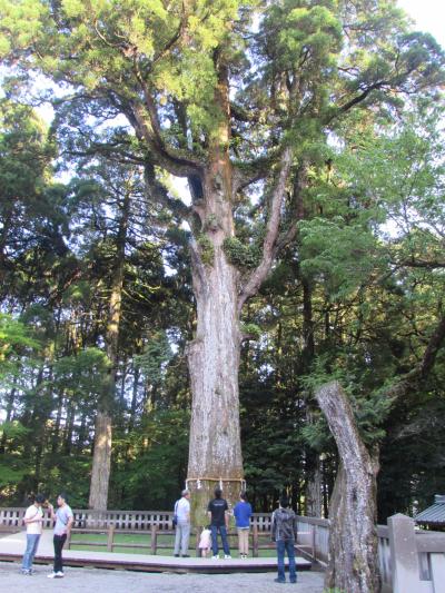 平成狸合戦かごんま（鹿児島）後編～ＧＷ鹿児島旅行『城山観光ホテル』