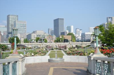 中之島バラ園☆ほぼ咲いてます♪