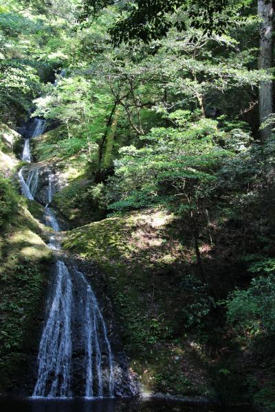 阿寺の七滝