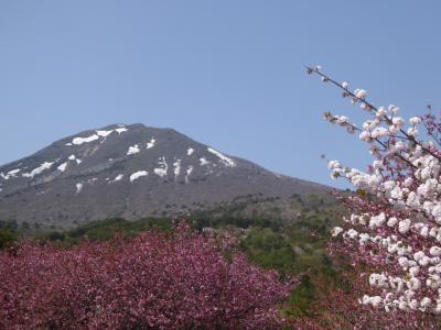 ツアーでＧＯ！！・ＧＷ版／残雪と桜の南東北＆磐梯熱海温泉２泊３日・その１