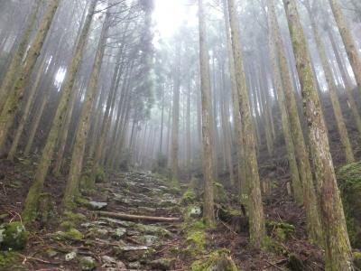 熊野三山の旅 2) 霧雨の古道を熊野本宮大社へ