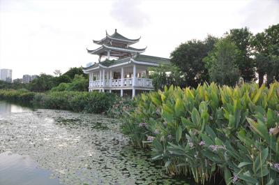 深セン★緑に囲まれのんびり…深セン中心公園