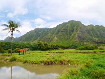 ’15GW 初めてのハワイ 3日目 クアロアランチで乗馬♪