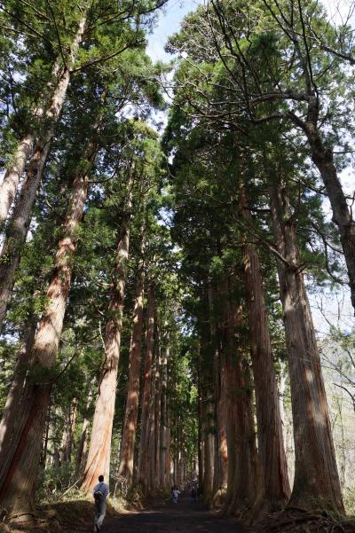 2015　善光寺御開帳の旅 その１　戸隠神社