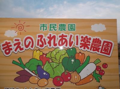 野菜栽培