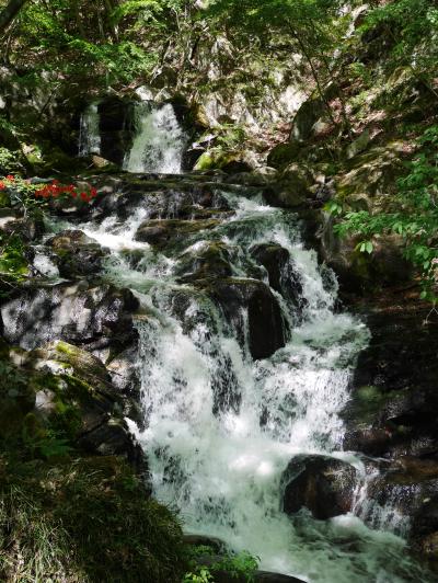 うつくしま福島!【東北最南端:滝川渓谷】