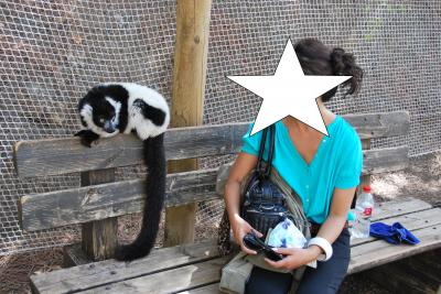 長期スペイン南部旅・エステポナ方面編　③ゆる～い動物園