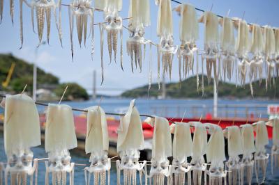 七ツ釜加部島名護屋波戸岬